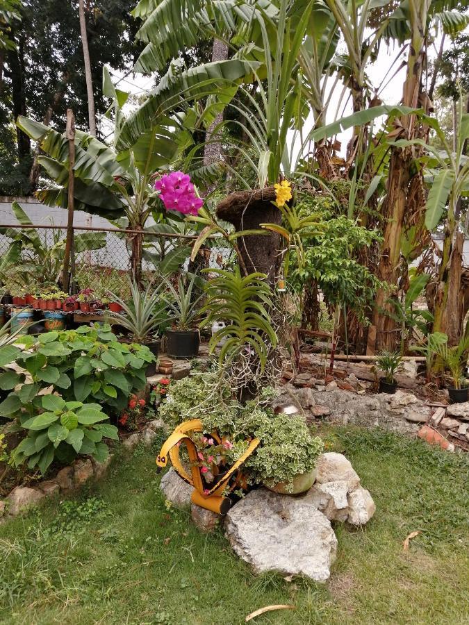 La Famosa Costillas A La Lena Jarabacoa Kültér fotó